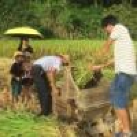 植发星wyandang0840