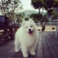 植发星不喜欢接吻