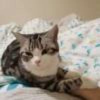 植发星zqh19790504