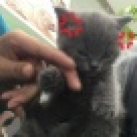 植发星zjq20121118