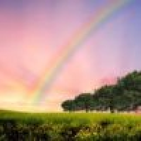 植发星上帝辣嘉5