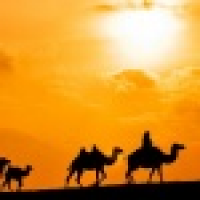 植发星Liuchunxin134