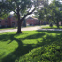 植发星ii丶潮流丨忠