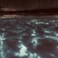 植发星万和兴038