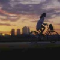 植发星njmigwa53432