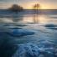 植发星七颜TA1319