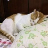 植发星一叶孤舟_6051