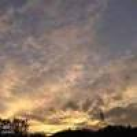 植发星vcbdfgnbfgn