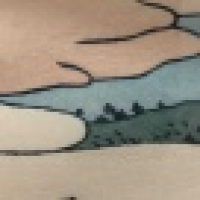 植发星三秒微笑4955