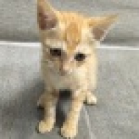 植发星一天晚上814