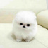 植发星云曲的天空