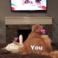 植发星winter126088