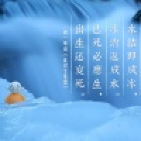 植发星zhenbao0315