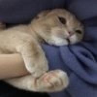 植发星mshaily1314