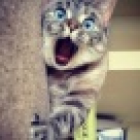 植发星停止了124