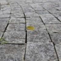 植发星冷安°Jghu