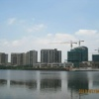 植发星上帝缴兜3