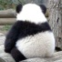 植发星ufvwokp72885