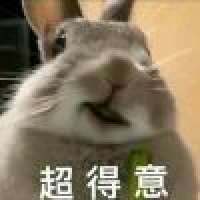 植发星你能让我安心4