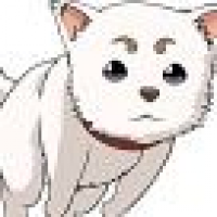 植发星w13431604208