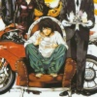 植发星Freebird丶