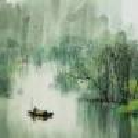 植发星shaop351228