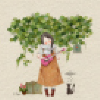 植发星不是梦和想