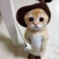 植发星不要不要上8186