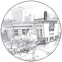 植发星低调一点天平