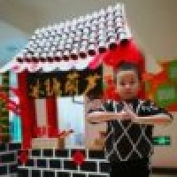 植发星南丰NCs06