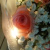 植发星feng411937051