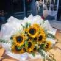 植发星乃牛自豪176