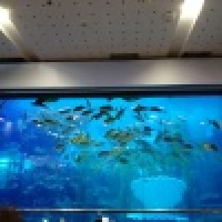 植发星__mydependence