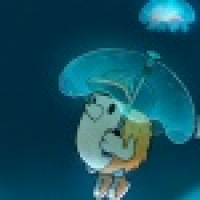 植发星yoyoxingyun