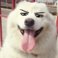 植发星mesprvh41656