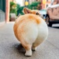 植发星你大爷GmE