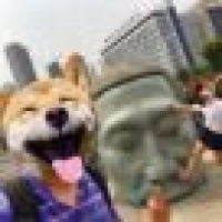 植发星guoyiting517