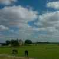 植发星初夏末春°蘣2