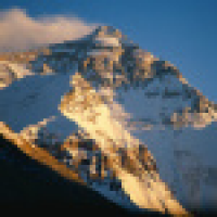 植发星优乐美806