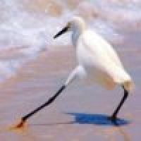 植发星今夜恋上你