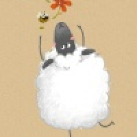 植发星你大爷de88