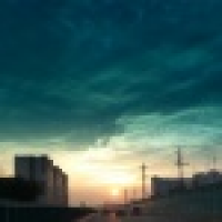 植发星双鱼一只猫