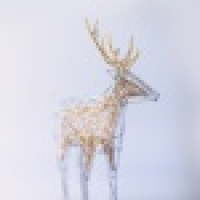 植发星mention春风化