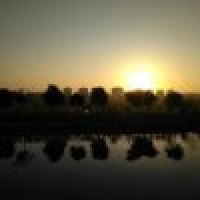 植发星东方小二0