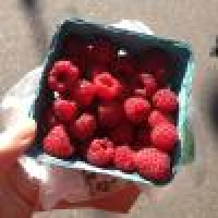 植发星williambinxin