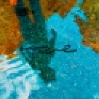 植发星危险的XE04