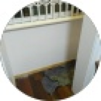 植发星前因后果玖玖专