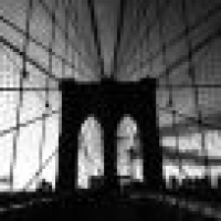 植发星LY673391502tui