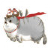 植发星qq332823512