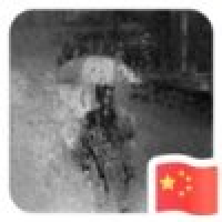 植发星傈僳花_519